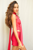 Ciele Halter Wrap Around Top